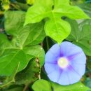 섬강농장 이미지