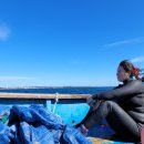 삼춘이간다 이미지