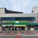 찐빵나라만두왕자 | 대구 가창 찐빵집 추천 호찐빵만두나라 본점 국산팥 후기