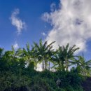 옷사랑셀프크리닝 이미지