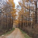 강남태평양약국 이미지