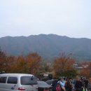 오서산사슴목장 이미지