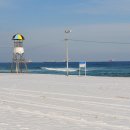 새천년의 빛 이미지