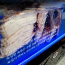 명륜정육식당 네이버블로그