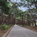 고성 국군복지단 화진포콘도 25평 82.6m²/바다 뷰 / 정원 6명
