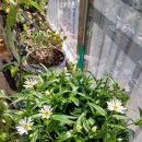 우리봄이네 이미지