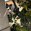 금호강변로 이미지