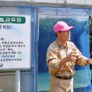 배영신 농장 네이버블로그