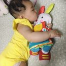 굿모닝토토 이미지
