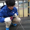 공진목장 이미지