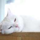 일상글쓰기 이미지