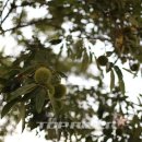 기산농장 이미지