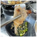 고기벅스 이미지