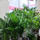 용원농장 이미지