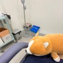 더동안의원 | [대구 죽전] 더동안의원 후기 - 리쥬란아이 / 윤곽주사