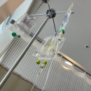 베드로요양병원 | 부산난임병원 리오라여성의원 임신9주차 유산 소파술 후기
