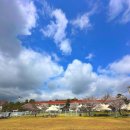 이마트24 기흥삼성점 | 서울 근교 강아지 애견 동반 글램핑 후기 OGUO 용인 기흥 골드펫 리조트