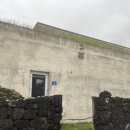 안비양 | [제주] 비양펜션 독채 후기 -가성비 최고 제주 감성 펜션