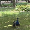 호텔정관루별관(게스트하우스) | [가평 남이섬 숙박] 남이섬 안에 위치한 숙소 “정관루 호텔” 방문 후기