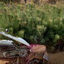 광일정비 이미지