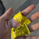 담비곱창 | 을지로 소곱창 맛집 담비 곱창에서 한우곱창모듬 먹은 후기