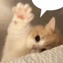 (주)힐링마케팅 이미지