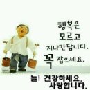 하루 이미지