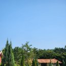 포포 스테이 이미지