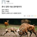 저 내일 임용관광고시 보긔 ㅋㅋㅋ 이미지