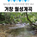 월성리마을회관 | 현지인만 아는 거창 월성계곡 근처 취사가능한 평상