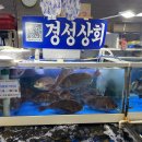 두두상회 이미지