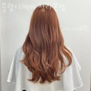 매직홈마트 | 인천 청라동 미용실 블랑디헤어 청라본점 업체 정보 후기
