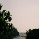 플로피피