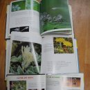 유아가베 이미지