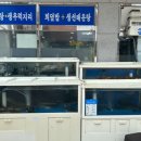 유정횟집 앞 이미지