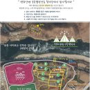 평화강변 수목캠핑장 이미지