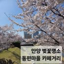 동편어린이집 | 안양 동편마을 카페거리 벚꽃 만개🌸 지금 꼭 가야 하는 봄 산책 4월 8일 개화상황