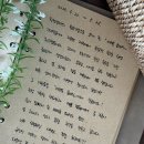 5월펜션 | 제주도 독채 가족숙소 가족펜션 5월 6월 후기