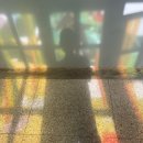 청윤