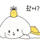 올바른 참견 이미지