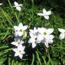 밝은마음 이미지