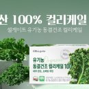케일
