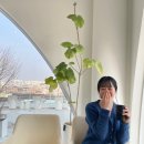 공공칠 이미지