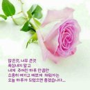 행복한하루 이미지