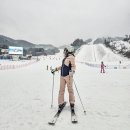 웰리힐리 스키장 | 웰리힐리파크 렌탈샵 스키장 리프트권 이용후기