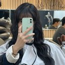 뷔에르727 이미지