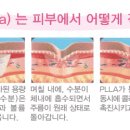 아비쥬