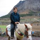 쪼랑말 - 논산시 중앙로480번길 10 | 쪼랑말