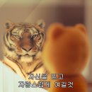 INTJ 여자 2025년 새해 근황