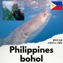 비오비트레블 이미지